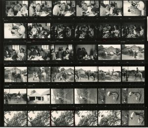 Contact Sheet 494 by James Ravilious