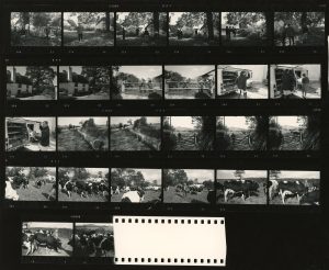 Contact Sheet 498 by James Ravilious
