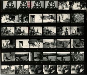 Contact Sheet 510 by James Ravilious