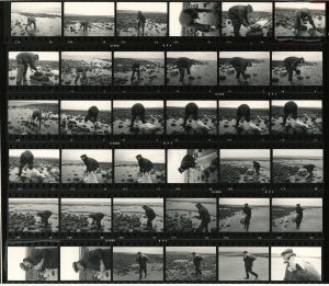 Contact Sheet 525 by James Ravilious