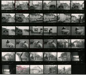 Contact Sheet 566 by James Ravilious