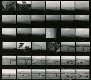 Contact Sheet 568 by James Ravilious