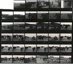Contact Sheet 575 by James Ravilious
