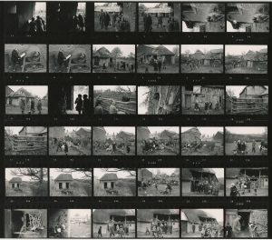 Contact Sheet 578 by James Ravilious
