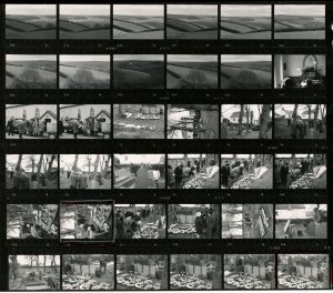 Contact Sheet 584 by James Ravilious