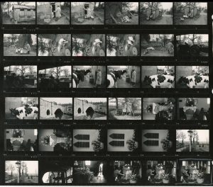 Contact Sheet 595 by James Ravilious