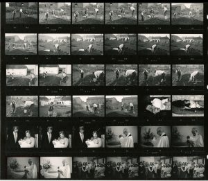 Contact Sheet 596 by James Ravilious