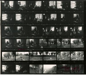 Contact Sheet 597 by James Ravilious