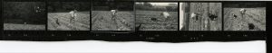 Contact Sheet 633 by James Ravilious