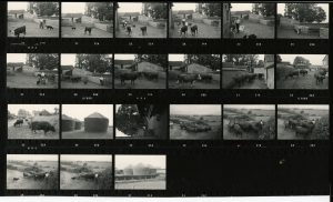 Contact Sheet 648 by James Ravilious