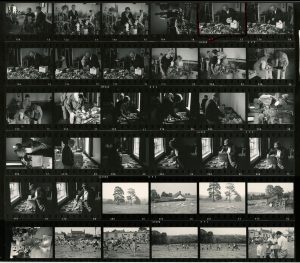 Contact Sheet 649 by James Ravilious