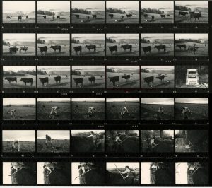 Contact Sheet 670 by James Ravilious
