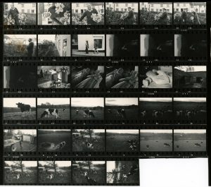 Contact Sheet 675 by James Ravilious