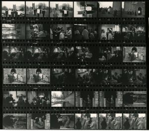 Contact Sheet 684 by James Ravilious