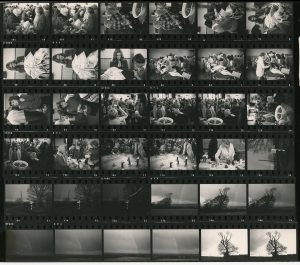 Contact Sheet 686 by James Ravilious