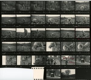 Contact Sheet 696 by James Ravilious