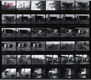 Contact Sheet 708 by James Ravilious