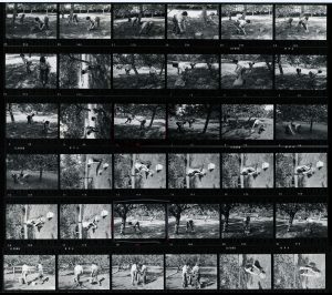 Contact Sheet 709 by James Ravilious