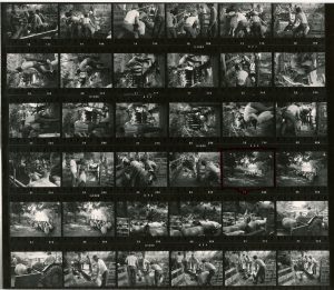 Contact Sheet 721 by James Ravilious