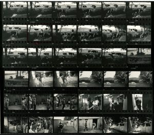 Contact Sheet 729 by James Ravilious