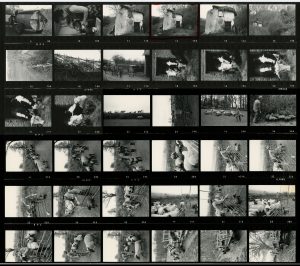 Contact Sheet 730 by James Ravilious