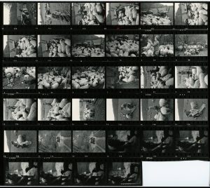 Contact Sheet 731 by James Ravilious