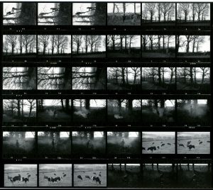 Contact Sheet 741 by James Ravilious