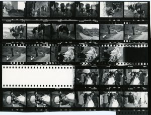 Contact Sheet 768 by James Ravilious