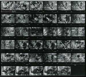 Contact Sheet 775 by James Ravilious