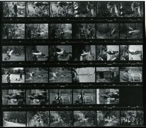 Contact Sheet 776 by James Ravilious