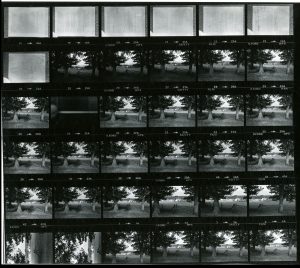 Contact Sheet 850 by James Ravilious