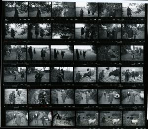 Contact Sheet 854 by James Ravilious