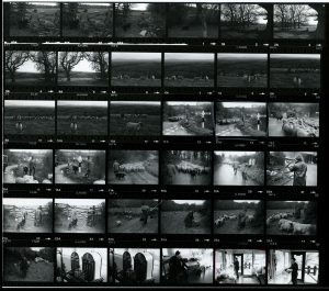 Contact Sheet 877 by James Ravilious
