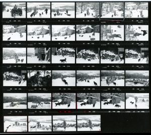 Contact Sheet 889 by James Ravilious