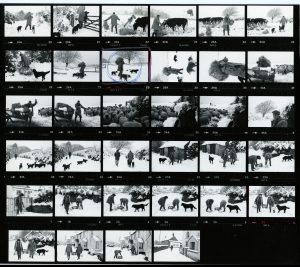 Contact Sheet 890 by James Ravilious