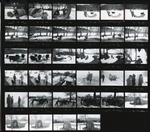 Contact Sheet 900 by James Ravilious