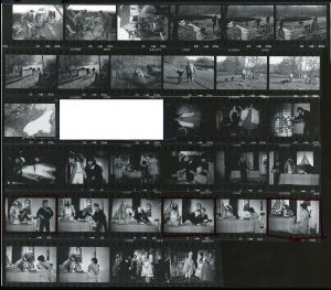 Contact Sheet 907 by James Ravilious
