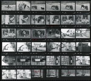 Contact Sheet 909 by James Ravilious