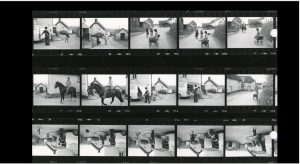Contact Sheet 921 Part 2 by James Ravilious