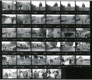Contact Sheet 931 by James Ravilious