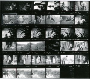 Contact Sheet 974 by James Ravilious
