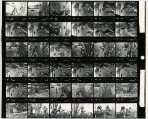 Contact Sheet 980 Part 1 by James Ravilious