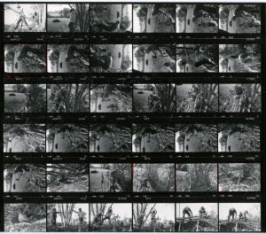 Contact Sheet 980 Part 2 by James Ravilious