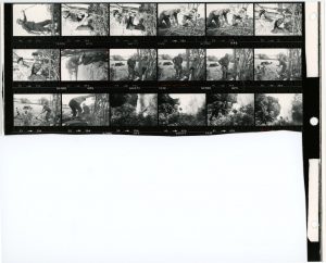 Contact Sheet 981 Part 1 by James Ravilious
