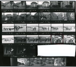 Contact Sheet 985 by James Ravilious