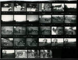Contact Sheet 1001 by James Ravilious