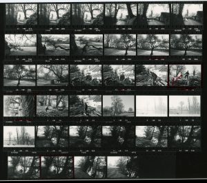 Contact Sheet 1012 by James Ravilious