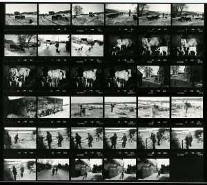 Contact Sheet 1018 by James Ravilious