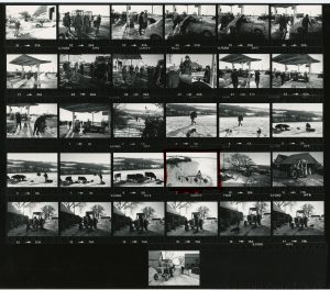 Contact Sheet 1019 by James Ravilious
