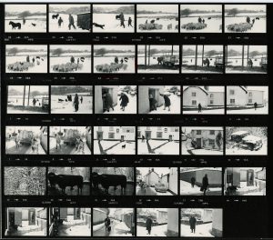 Contact Sheet 1020 by James Ravilious